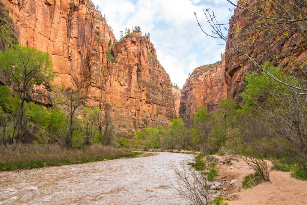 While on your Utah national parks road trip with kids, try the toddler-friendly Riverside Walk in Zion National Park 