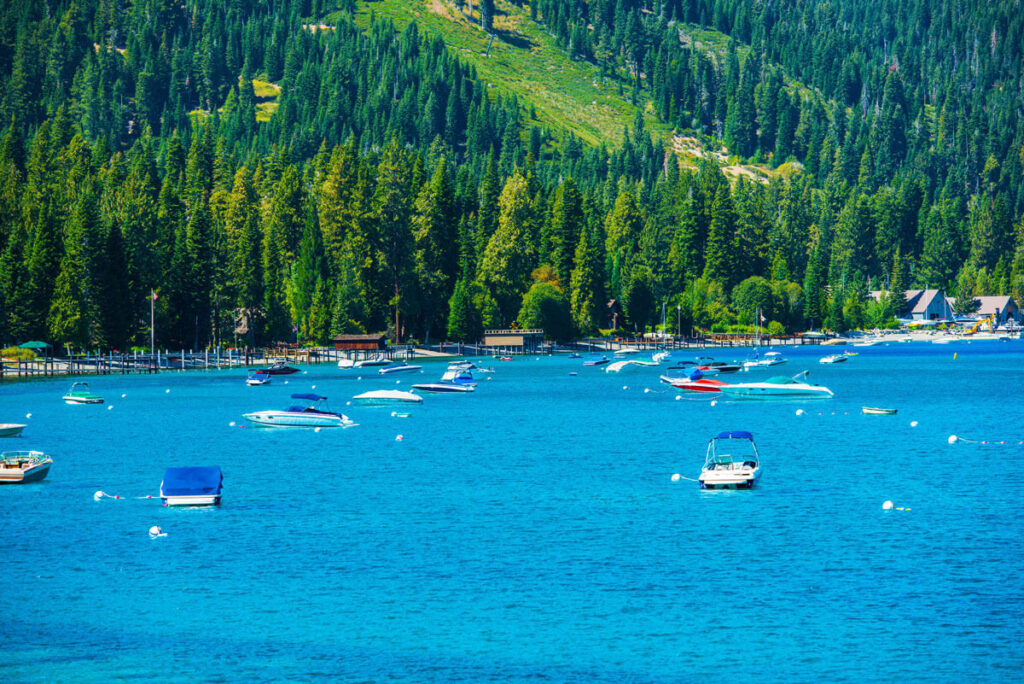 Marina - Lake Tahoe with kids