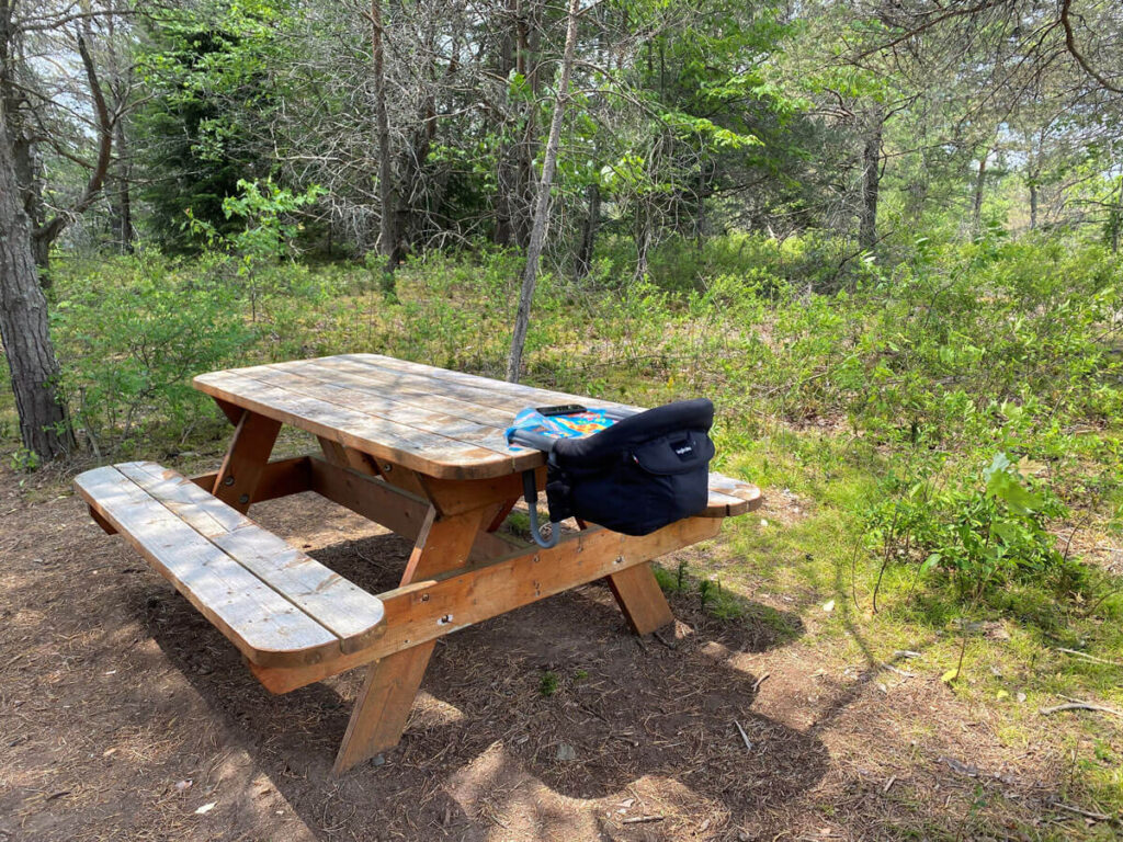 Using Inglesina high chair on picnic table - high chairs that attach to table.