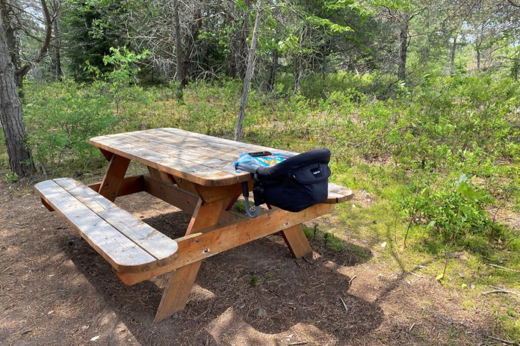 Toddler Camping Chair attached to picnic table - Inglesina