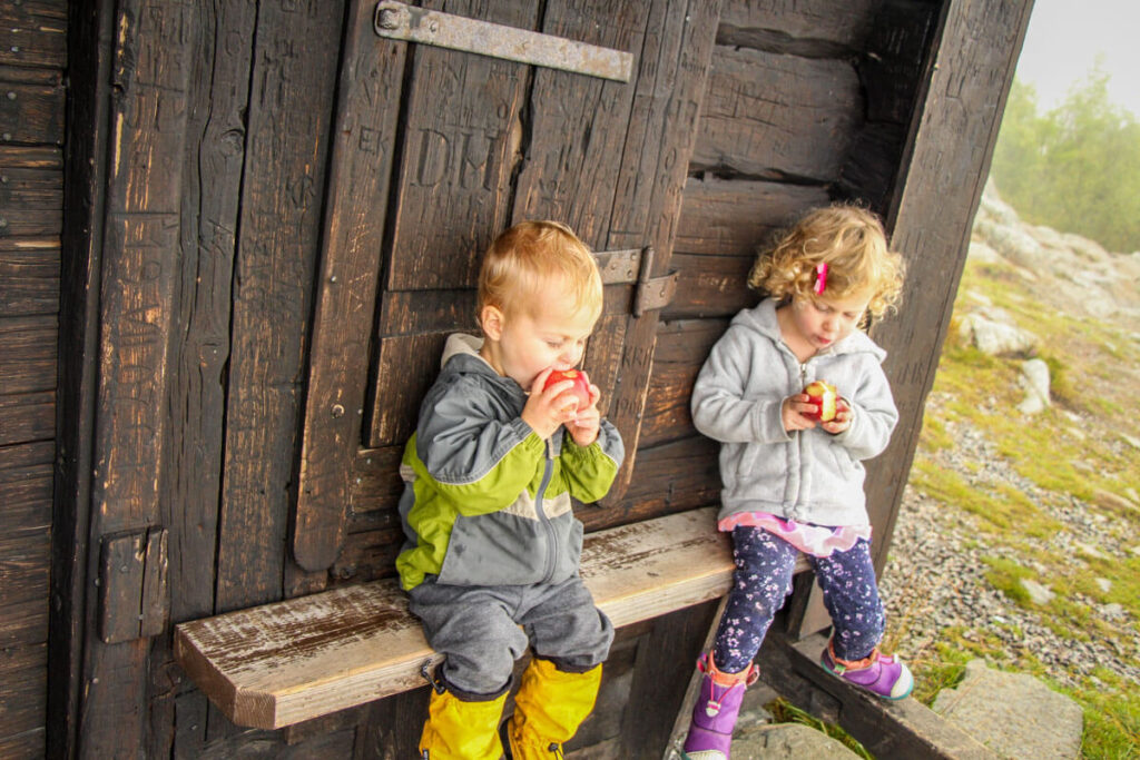 toddlers eating apples