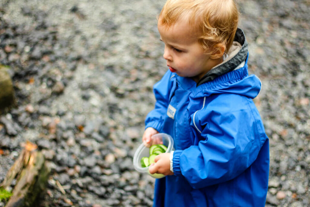 toddler carrying container with cucumber (toddler travel snacks)