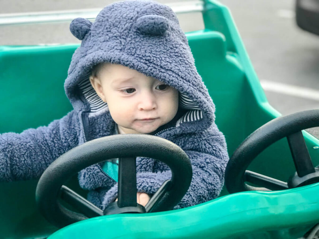 Toddler in Harris Teeter Shopping Cart - Asheville