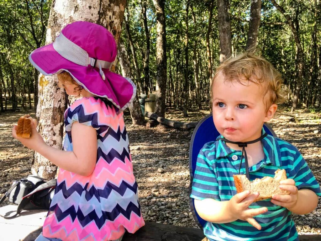 toddlers eating a sandwich and other toddler road trip snacks