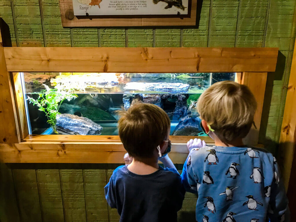 wnc nature center Asheville