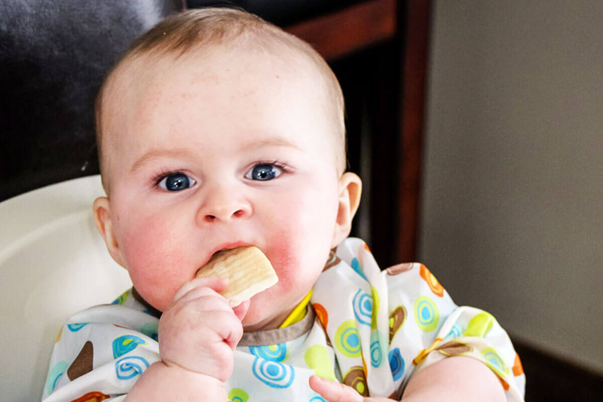 Feeding Baby Solids on Holiday