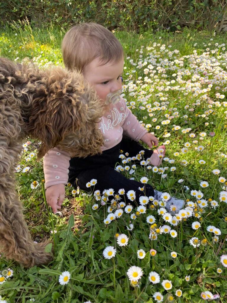 Baby near dog while sitting in flower at Masseria Chinunno - incredible place to stay in Puglia with a baby