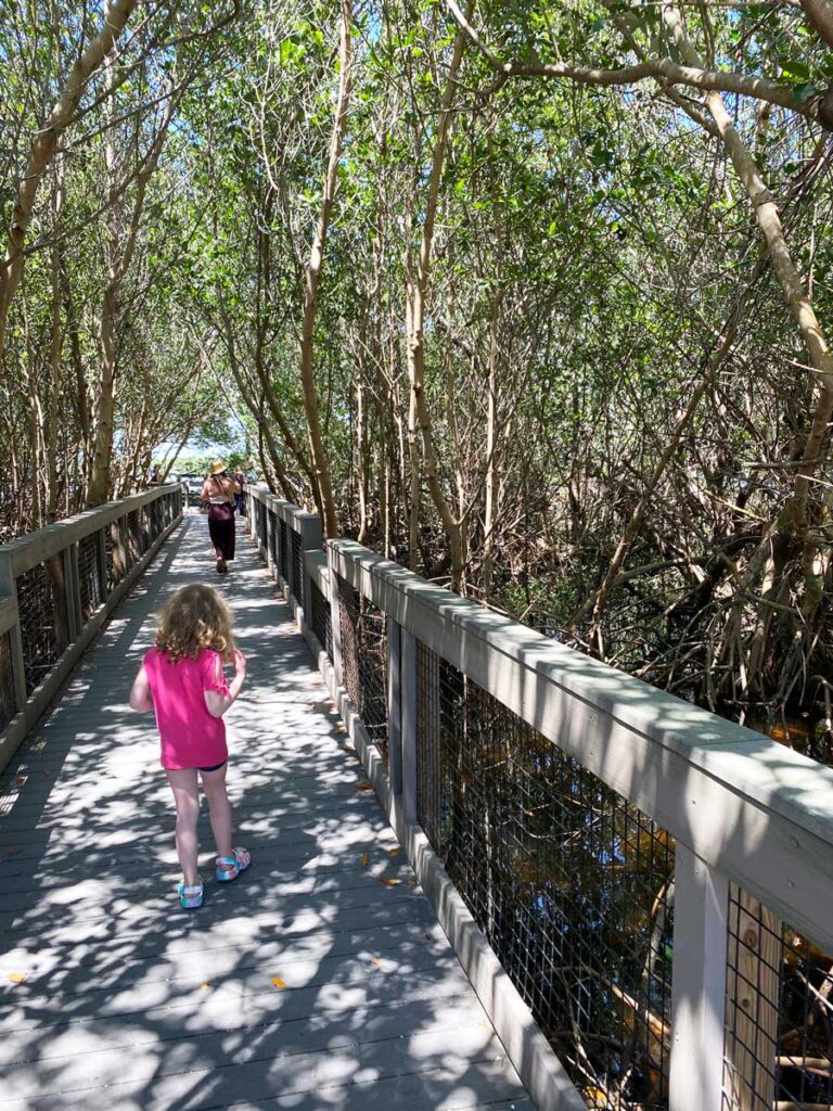 Ding Darling National Park with Kids