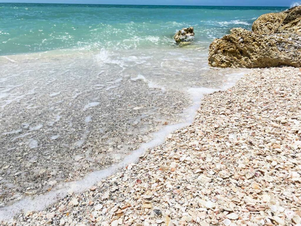 Seashells - Blind Pass Sanibel Island Florida