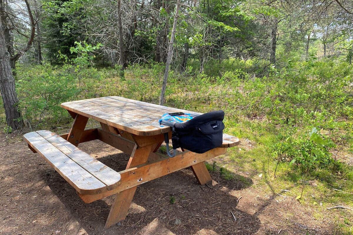 Using Inglesina high chair on picnic table - high chairs that attach to table