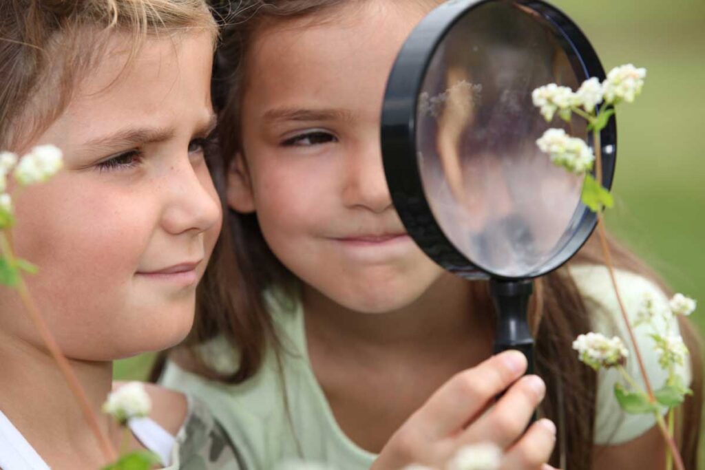 children identifying plants - fun toddler camping games