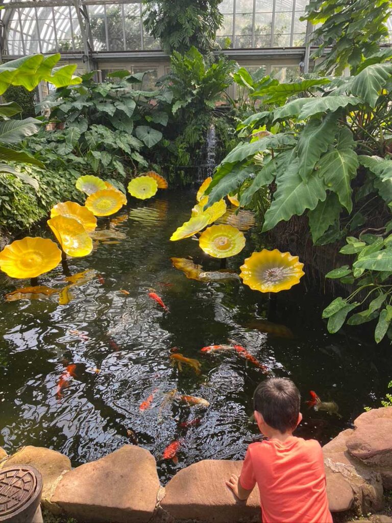 Chicago toddler activities - looking at fish