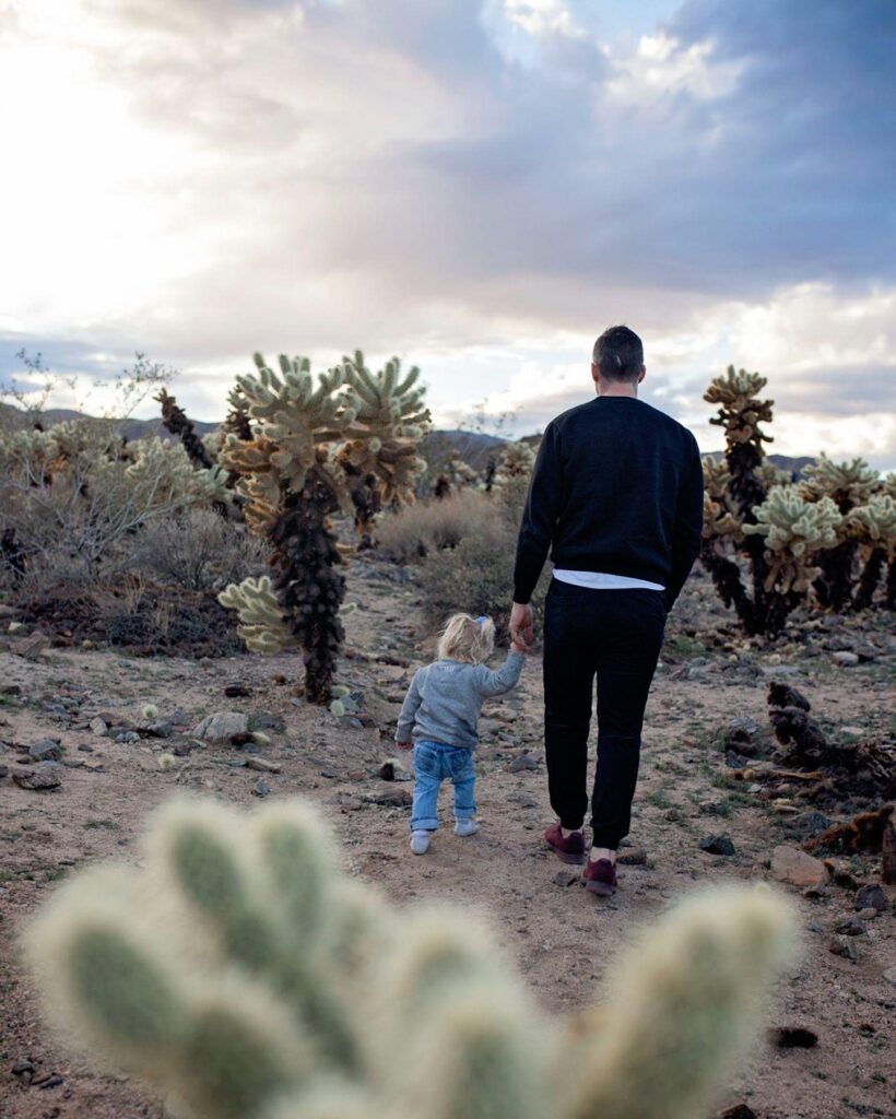 father and toddler walking through Cholla Cactus Garden in Joshua Tree