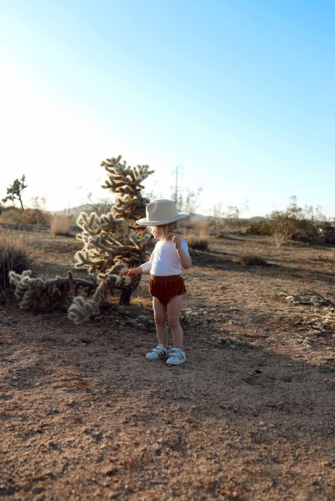 Joshua Tree with toddlers