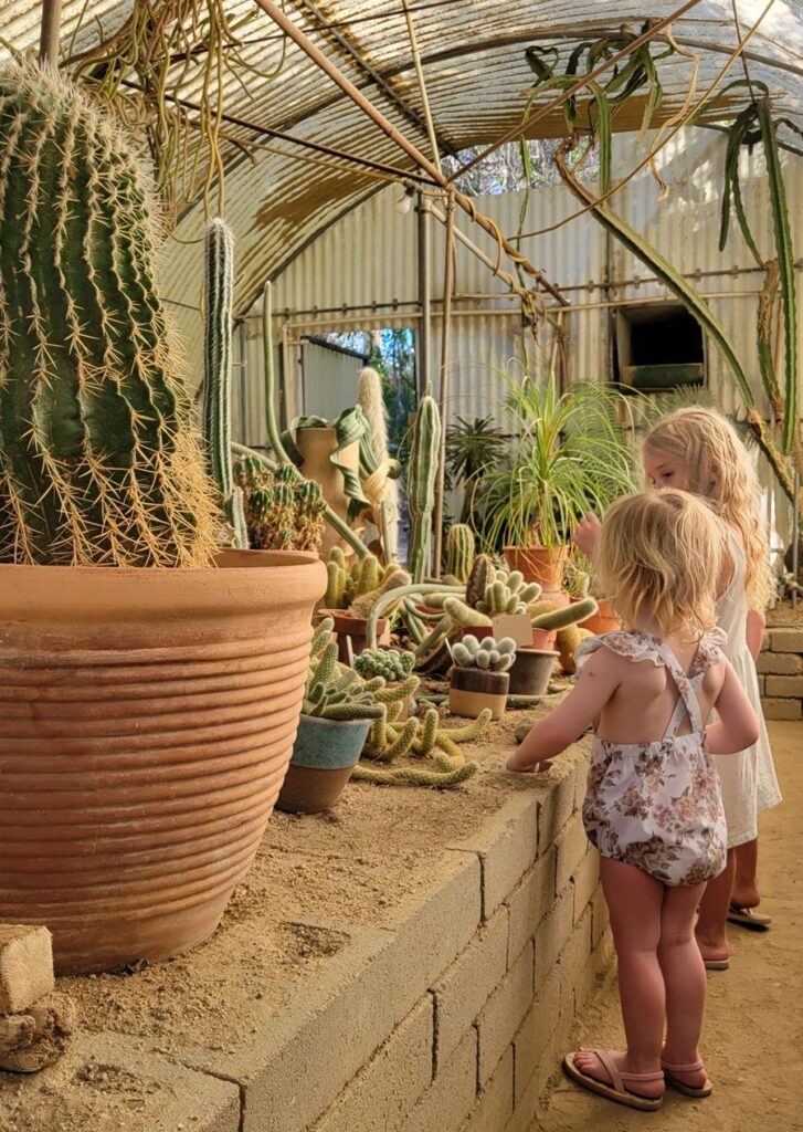 Moorten Botanical Garden and Cactarium in Palm Springs with toddlers