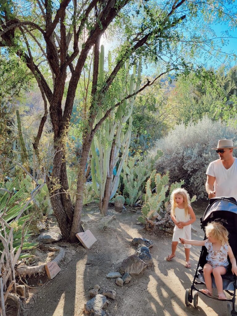 visiting Palm Springs with toddlers - one in stroller and one walking