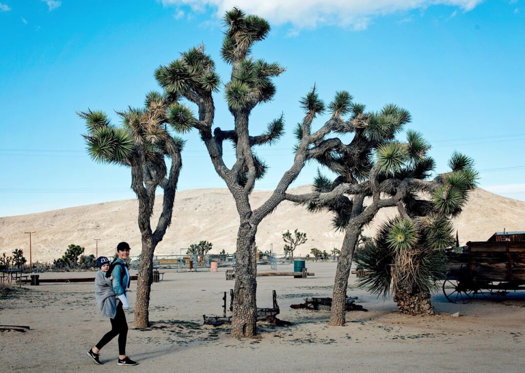 mother walking with baby in baby carrier at Pioneertown - things to do in Palm Springs with baby