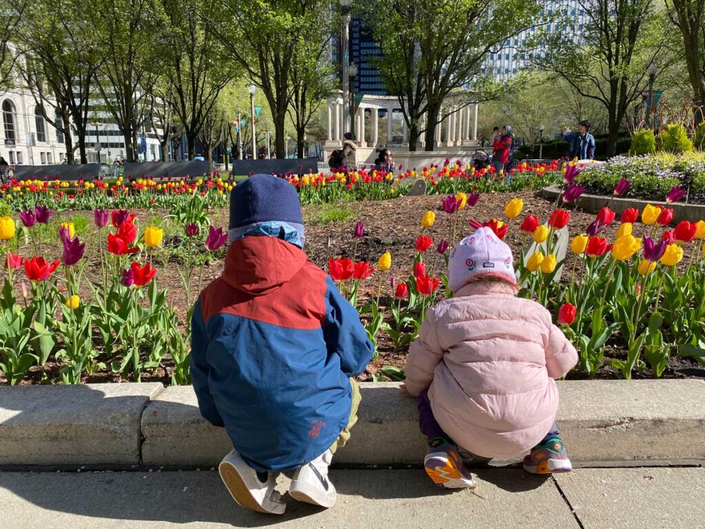 two toddlers looking at tulips in bloom