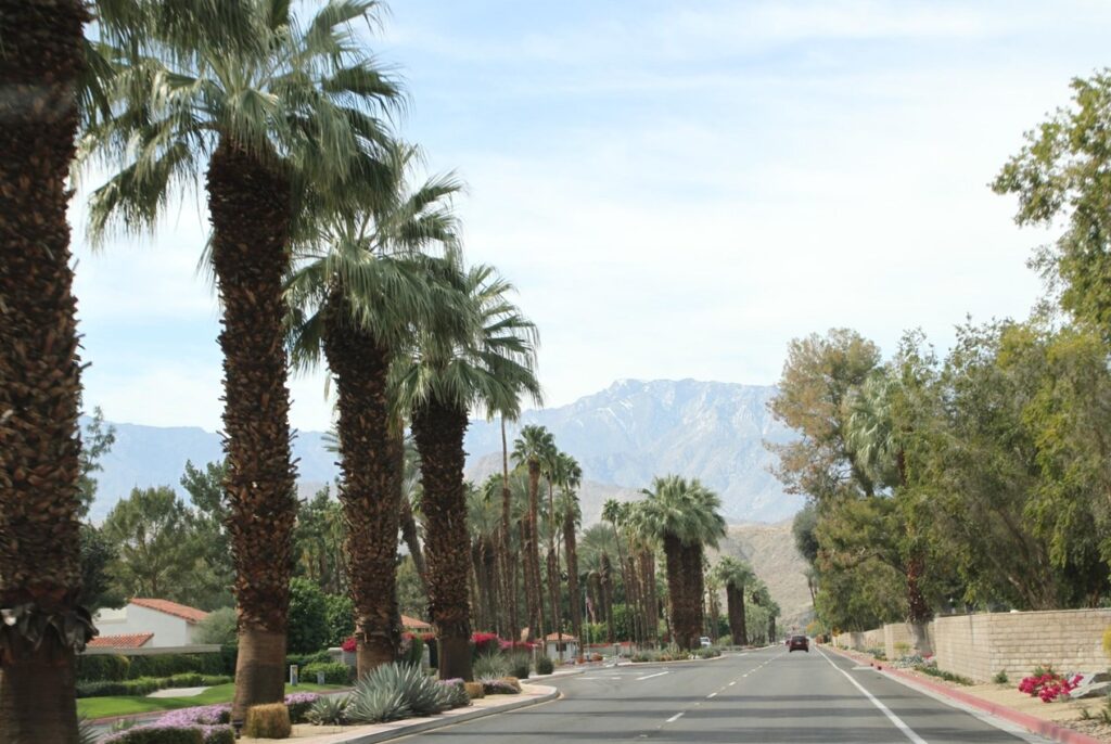 street in Palm Springs