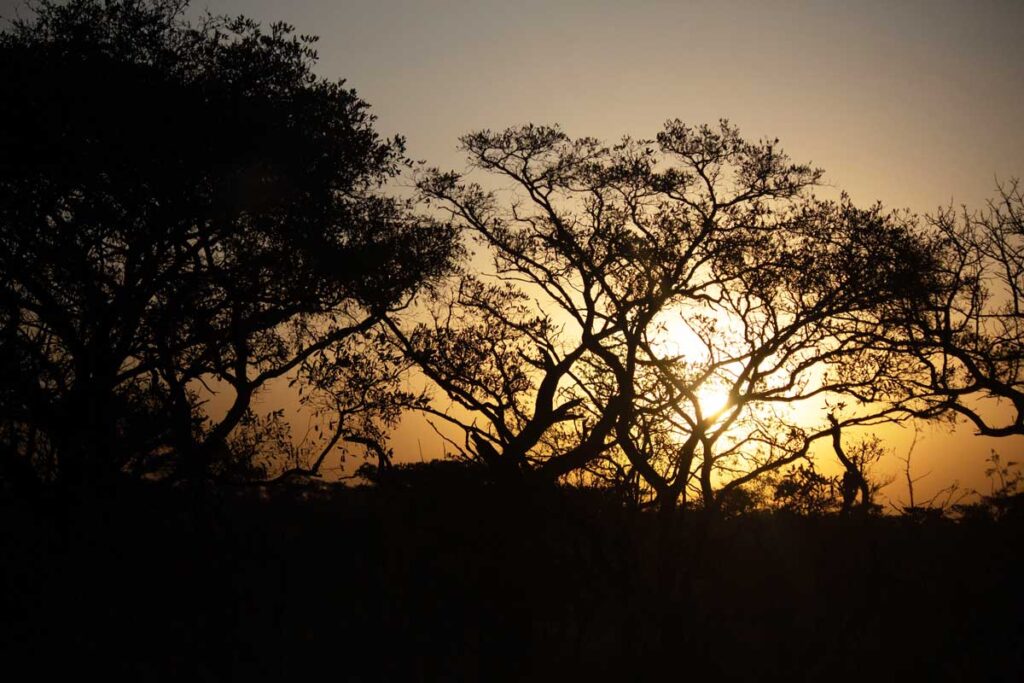 African Sunset in Kruger NP