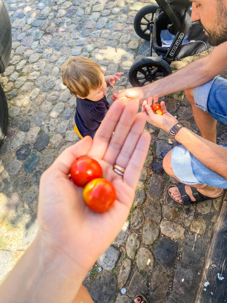 a healthy lunch of fruits and vegetables in Freiburg while visiting Germany with a baby.