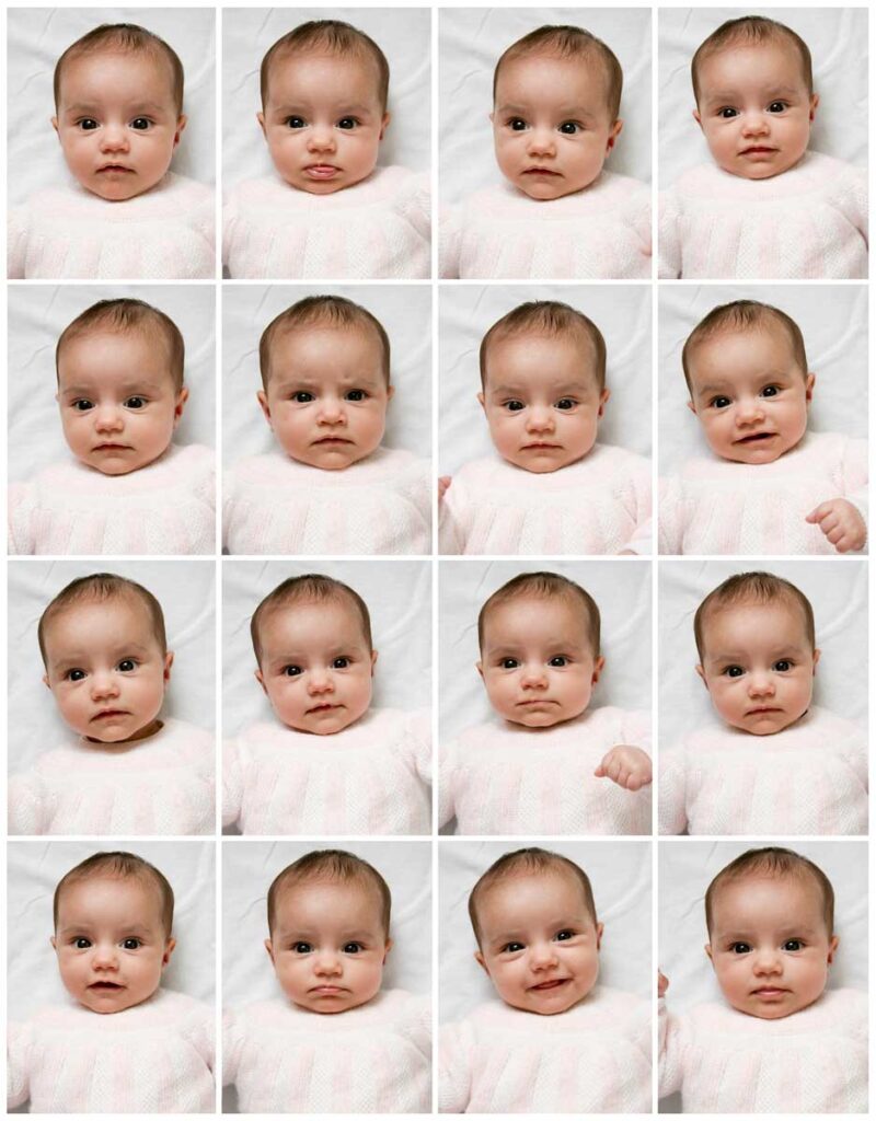 a sample of infant passport photos.