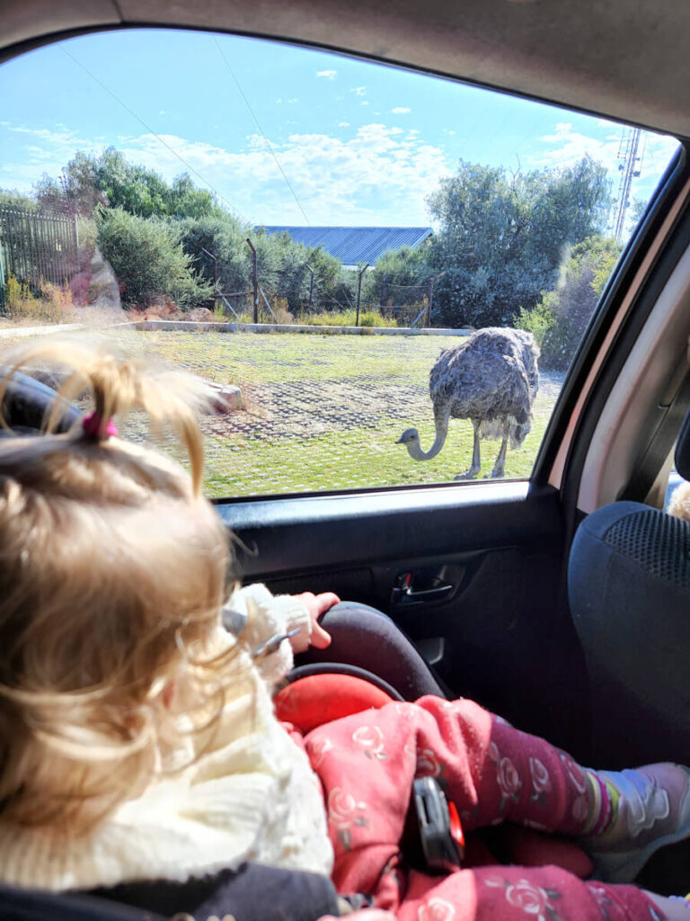 Bloemfontein in South Africa with Toddler