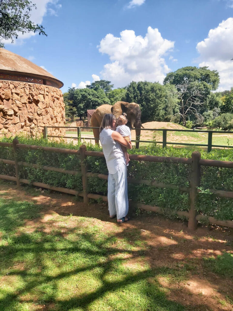 Hartebeespoort Zoo - South Africa with Toddler