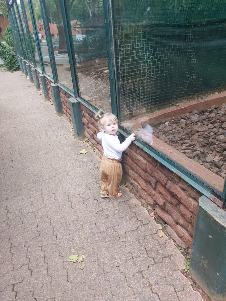 Hartebeespoort Zoo in South Africa with toddler