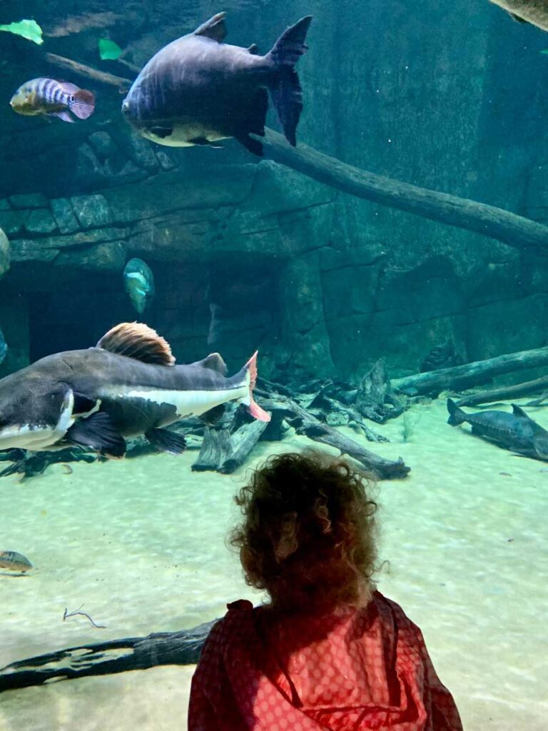 Loveland Aquarium