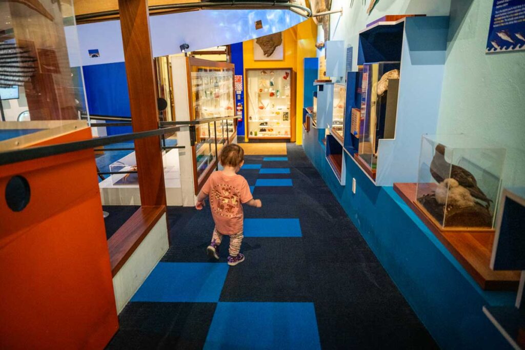 Auckland War Memorial Museum in New Zealand with toddler