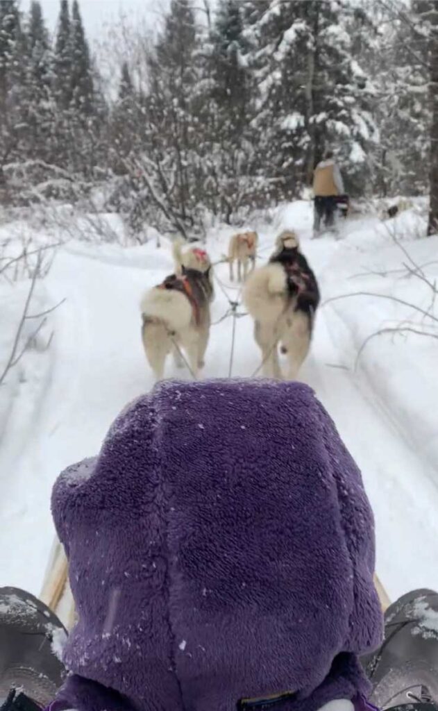 dog sledding with toddler in Quebec City in Winter