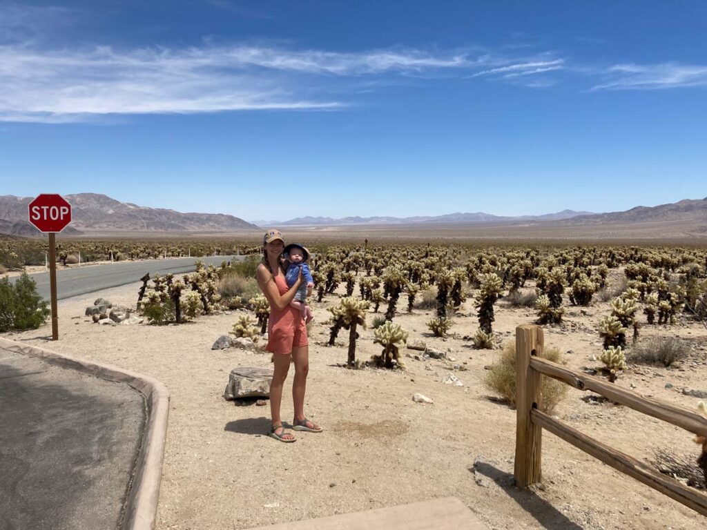 mother holding baby at Cholla Garden - Joshua Tree NP with a Baby