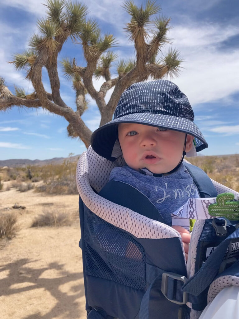 baby in carrier in Joshua Tree NP