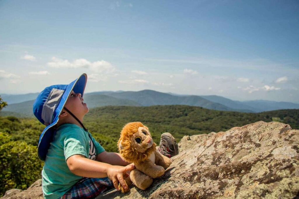 a toddler brings his stuffy lion on a family-friendly hike in Shenandoah National Park