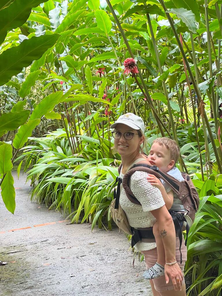 Toddler napping in toddler carrier - Martinique with toddler