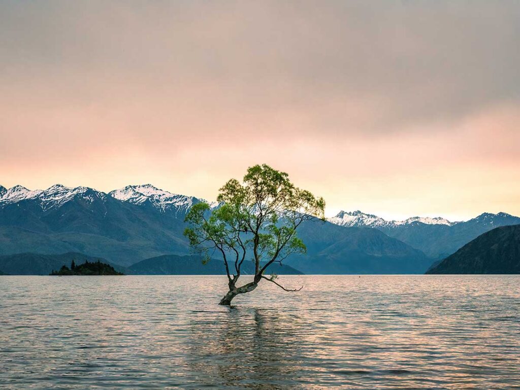 Wanaka New Zealand