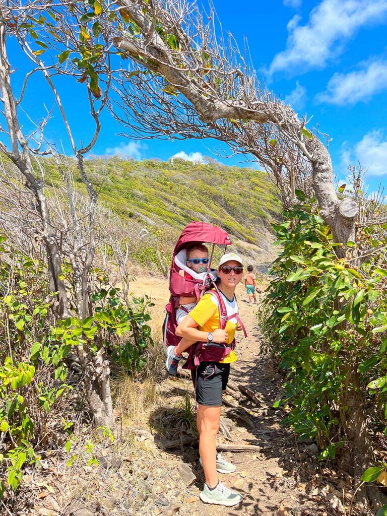 hiking Martinique with toddler in carrier