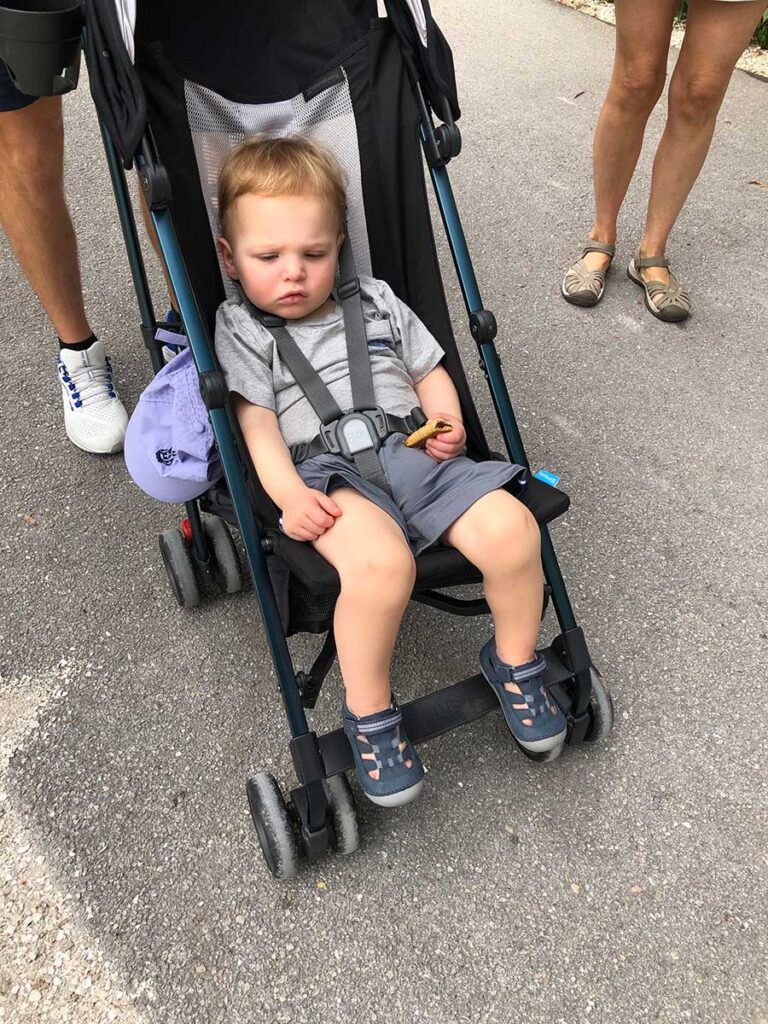 toddler in Stroller at Naples Zoo