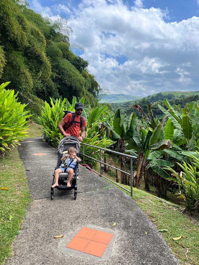 toddler in stroller at banana museum