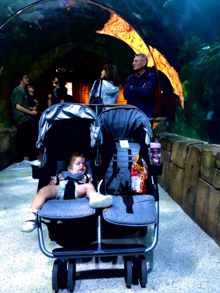 Baby sleeping in a stroller. 