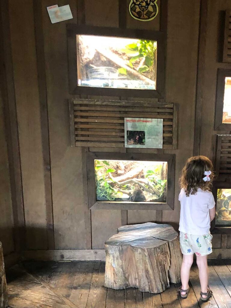 girl standing in museum. 