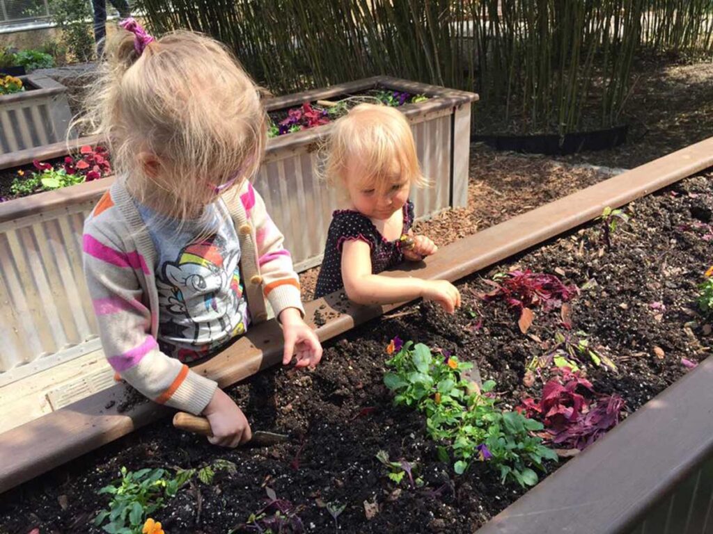 kids digging in a garden.