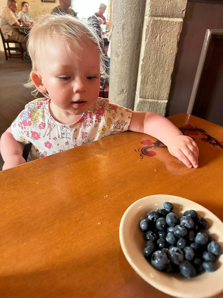 Baby eating blueberries at Disney.