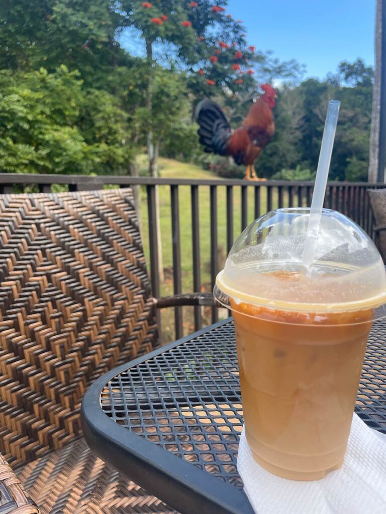 Iced coffee drink in plastic cup, sitting on a black mesh table.